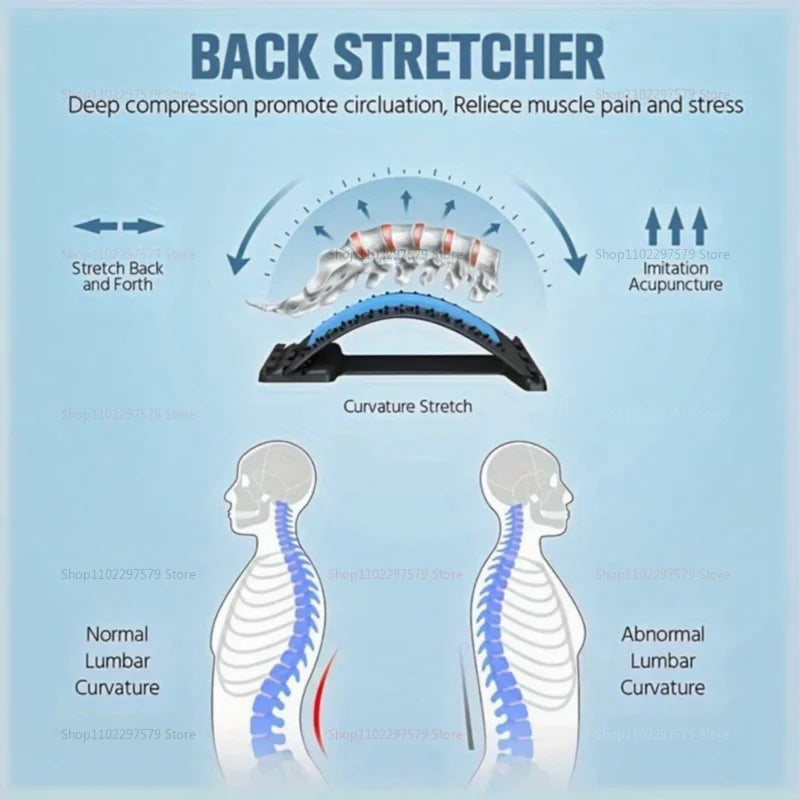 Back Massager and Lumbar Support